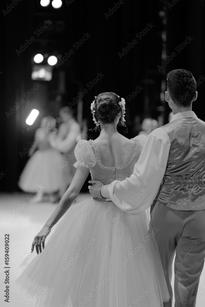 Naklejka premium The ballet dancers at the time of the performance on the stage of the theater