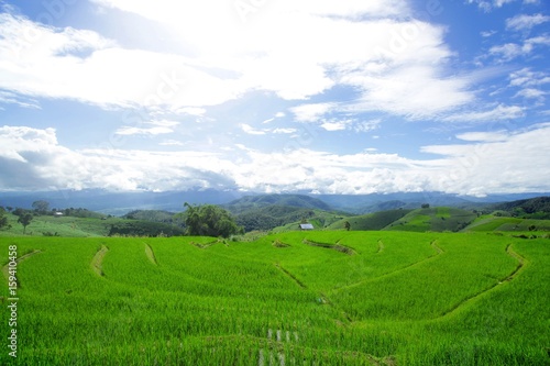 Field of view of the field at Pa Bong Piang Chiang Mai, Thailand