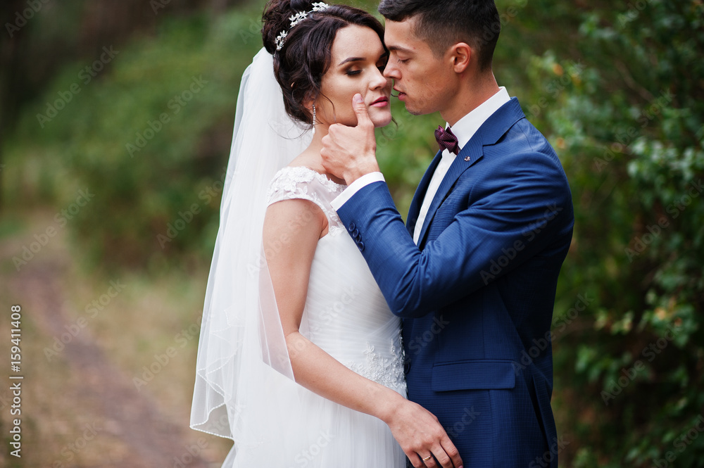 Close-up photo of a wedding couple kissing in the pine forest. Close-up photo of a wedding couple kissing in the pine forest.