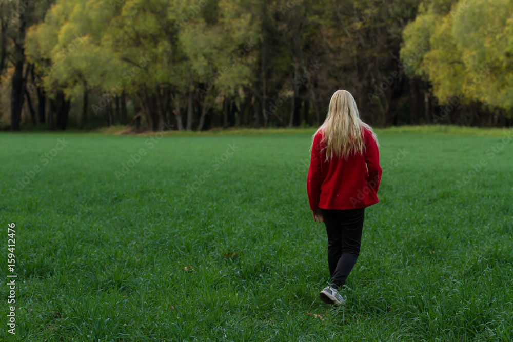 blonde girl walking in summer field blonde girl walking in summer field