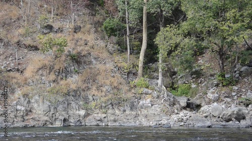 Stream by the mountain