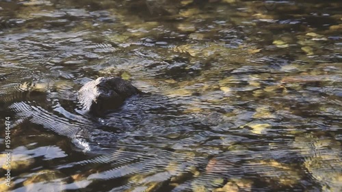 Stream flowing around a rock