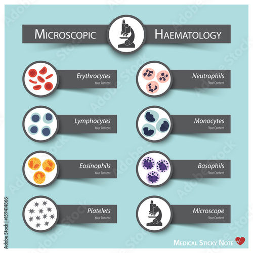 Microscopic Haematology . Medical sticky note style ( Bone marrow produce blood cells series : erythrocytes . lymphocytes . neutrophils . monocytes . eosinophils . basophils . thrombocytes )