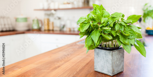 banner with fresh basil on the wooden counter top in a fancy kitchen with blurred kitchen in the background