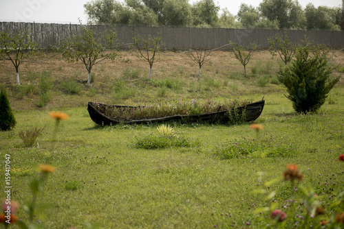 Old boat abandoned in Danube Delta area, Romania, photographed in a sunny summer day photo