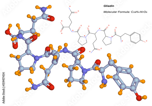 gliadin molecule, component of gluten