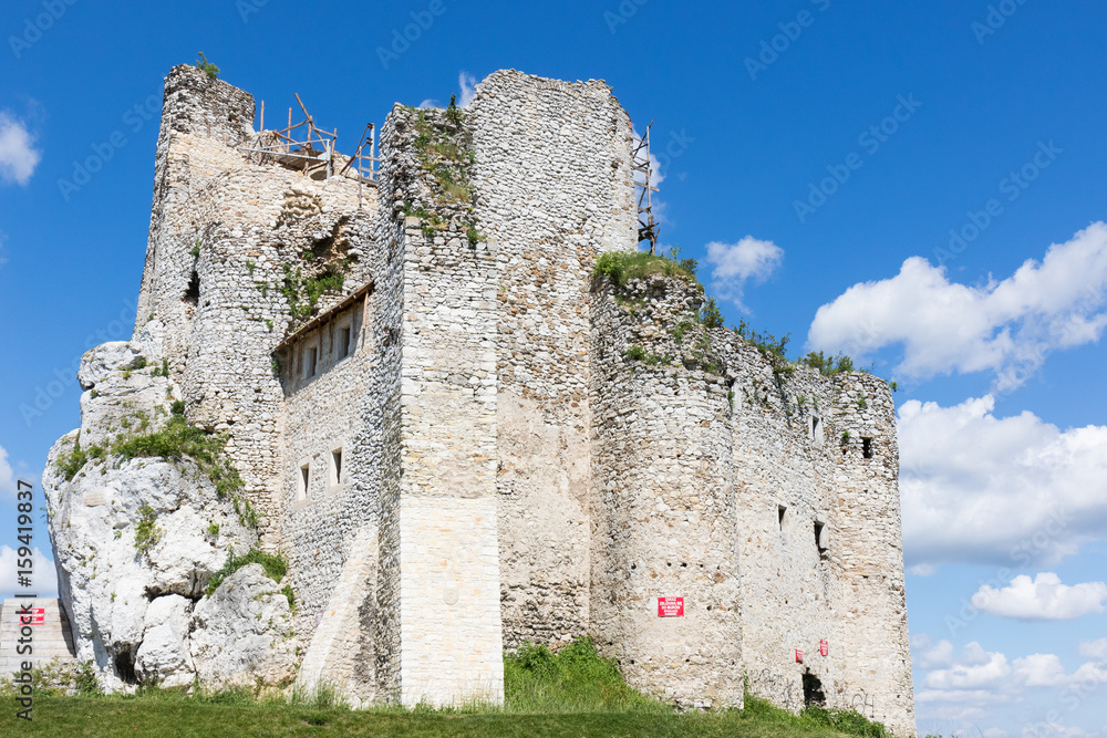 Ruiny zamku średniowiecznego Mirów w Polsce