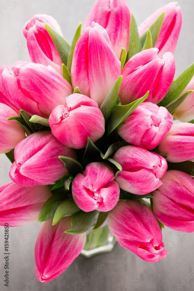 Obraz premium More tulip on the grey background.