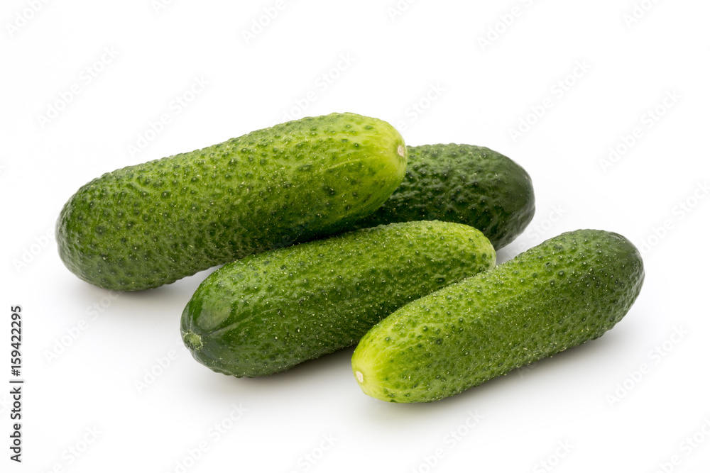 The first spring ecologically cucumbers. The first spring ecologically cucumbers.