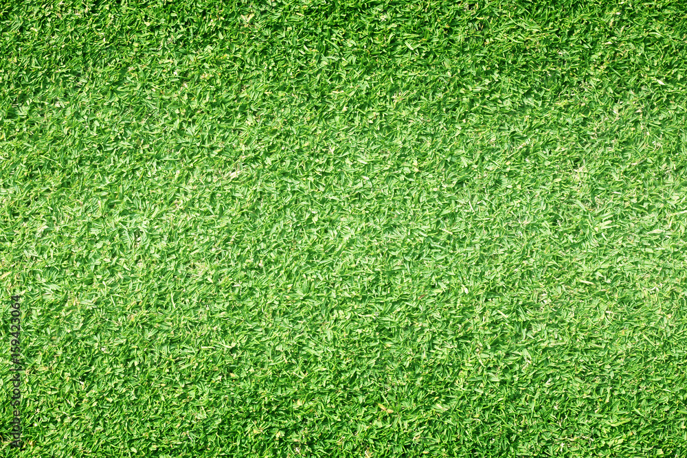 grass background Golf Courses green lawn grass background Golf Courses green lawn
