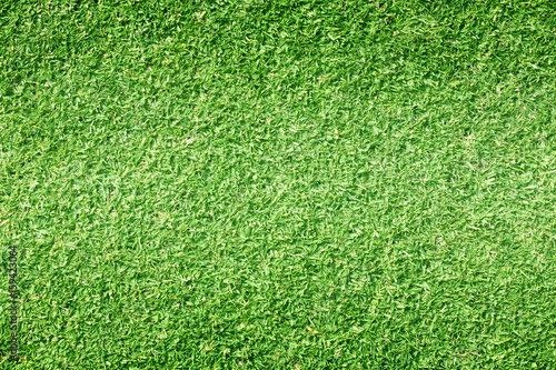 grass background Golf Courses green lawn