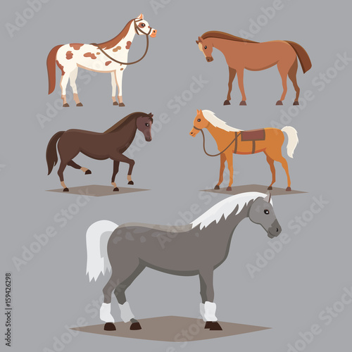 Collection of isolated horses. Cute cartoon horse farm animals. Differend breads