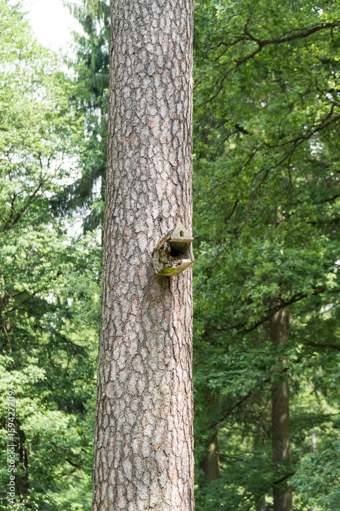 Fototapeta premium Vogelhaus
