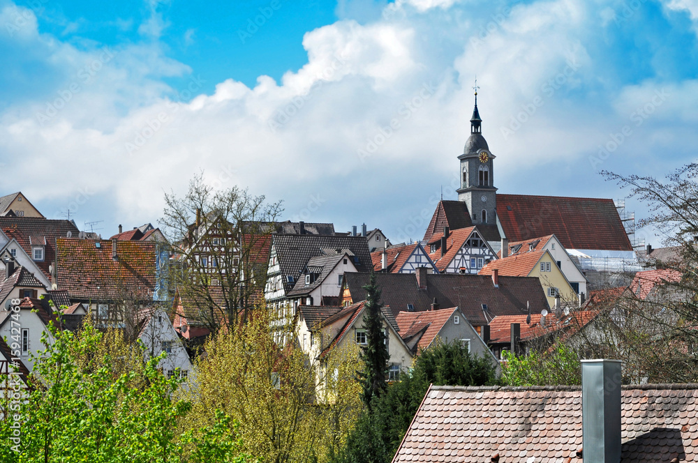 Panoramic view of Marbach (Neckar) with landmarks and churches in spring, Baden-Wurttemberg, Germany.