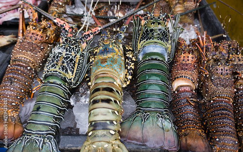 Fresh lobster sold at night market in Kota Kinabalu, Sabah Borneo, Malaysia.
