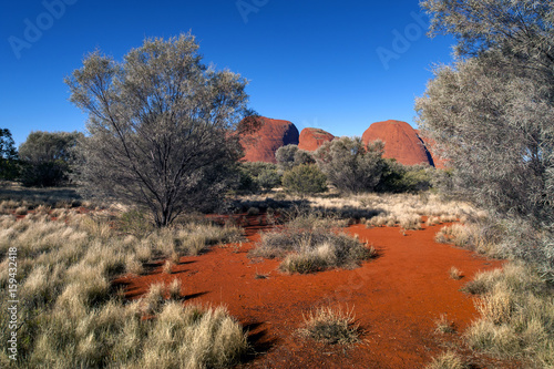 Australia Landscape : Red rock of Alice Sping under clear blue sky photo