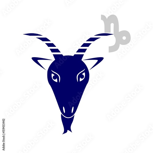 the capricorn sign
