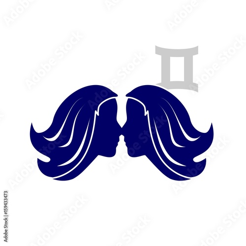 the gemini sign