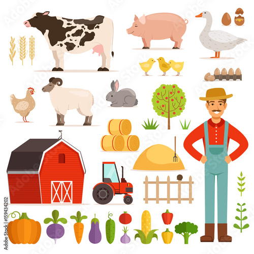 Different farm elements. Vegetables, transport and domestic animals. Vector illustrations set