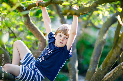 Little blond kid boy of 5 years climbing in tree in summer.