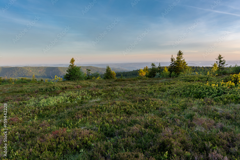 Fototapeta premium French countryside - Vosges. Sunrise in the Vosges with trees and meadow.