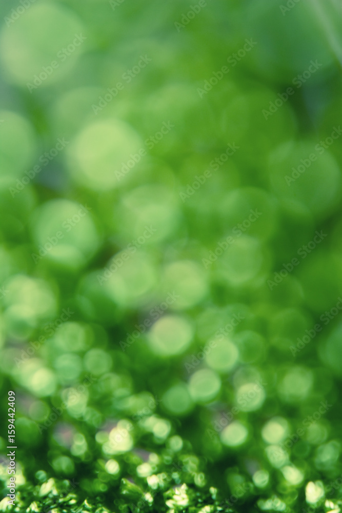 Abstract green background with circles Abstract green background with circles
