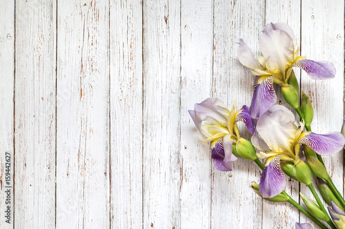 Fototapeta Naklejka Na Ścianę i Meble -  Image with iris.
