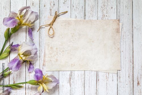 Fototapeta Naklejka Na Ścianę i Meble -  Image with iris.