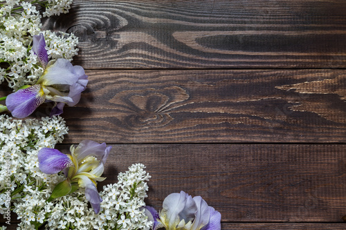 Fototapeta Naklejka Na Ścianę i Meble -  Image with iris.