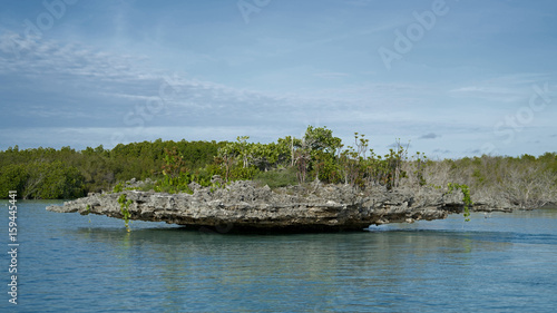 Raised Coral Mushroom in Aldabra Lagoon