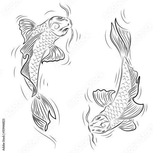 Hand drawn line art of Koi carp, coloring page, yin yang