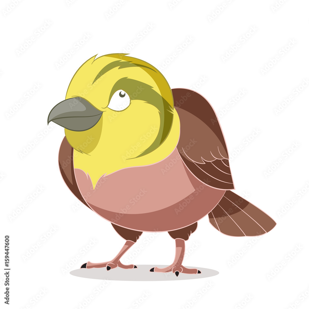 Cartoon smiling Yellowhammer Cartoon smiling Yellowhammer