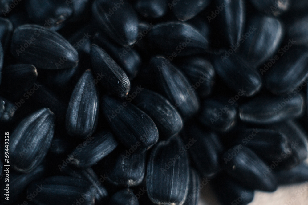 Sunflower seeds with sunflower close-up on blurred background. Sunflower seeds with sunflower close-up on blurred background.