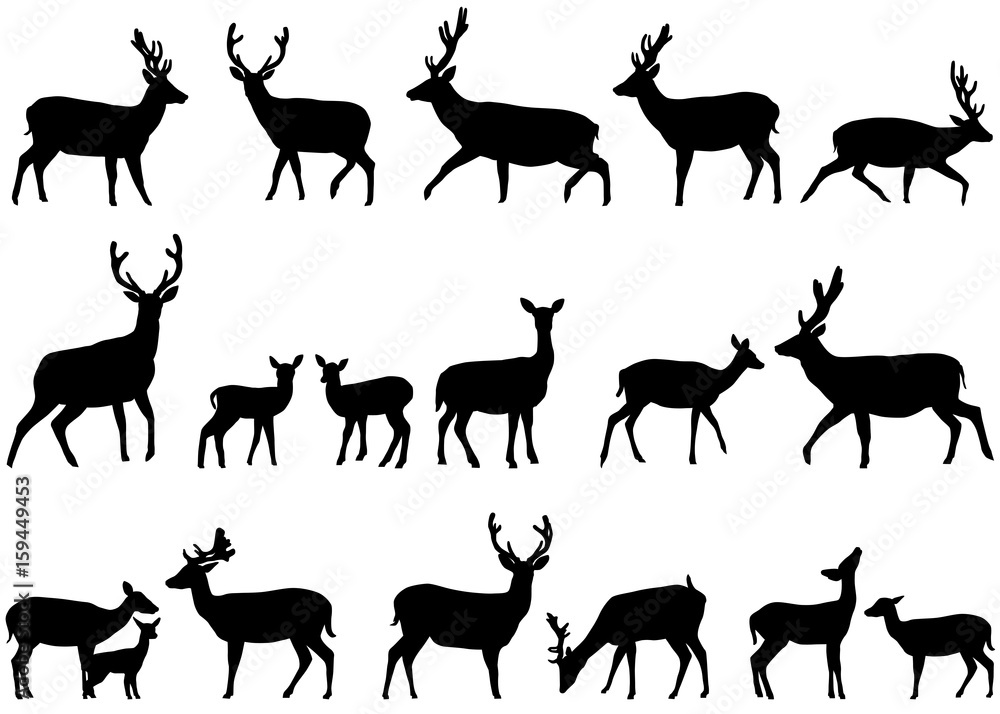 Naklejka premium Zbiór sylwetki dzikich zwierząt - rodziny jeleniowatych