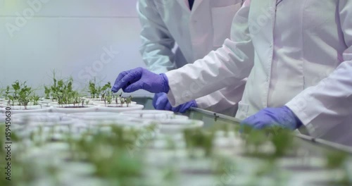 Lab assistants in a laboratory are studying plants