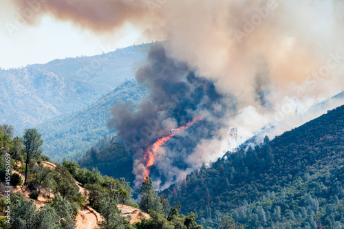 Fire in pine forest in Moccasin, California
