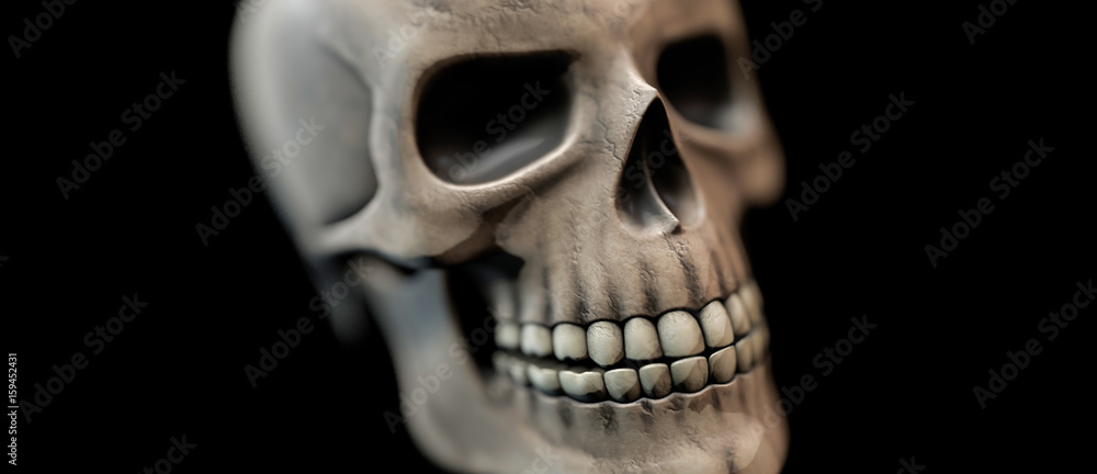 Totenkopf - menschlicher Schädel in Detailaufnahme Totenkopf - menschlicher Schädel in Detailaufnahme