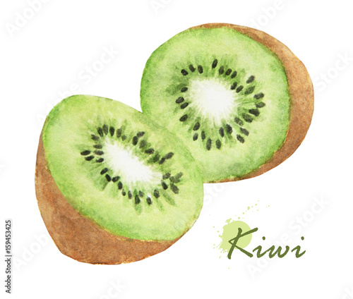 fresh kiwi. Hand drawn watercolor painting on white background.