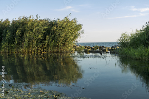 danube, delta, romania, channel, river, landscape, summer, water, day, nature, blue, green, natural, reflection, calm, vegetation, protected, danubian, beautiful, lake, wetland, sky, spring, tree, par