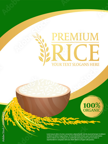 white rice and paddy rice on gold green background Layout template  Vector design