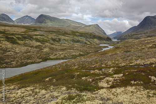 Rivulet flows through tundra on high mountain plateau in Rondane National park  Norway