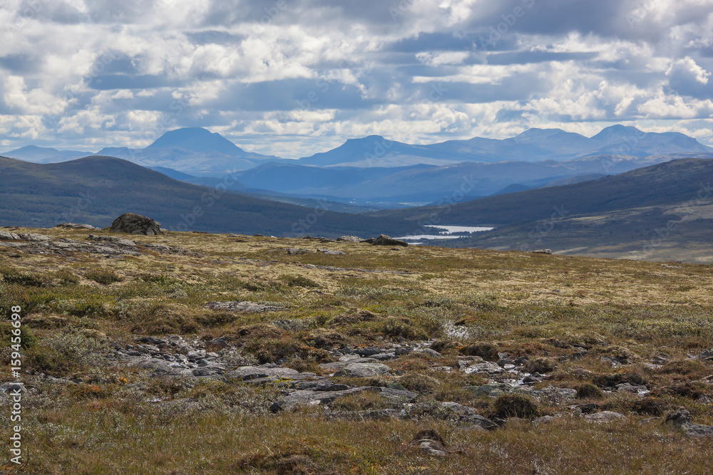 Northern mountain landscape in Dovrefjell national park, Norway