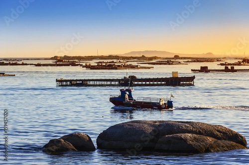 Fishing boat sailing between mussel farming rafts