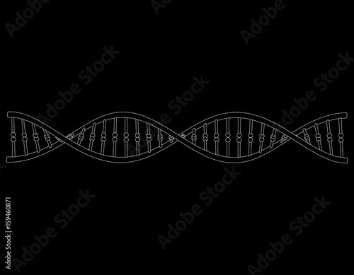 DNA strand. Isolated on bla...