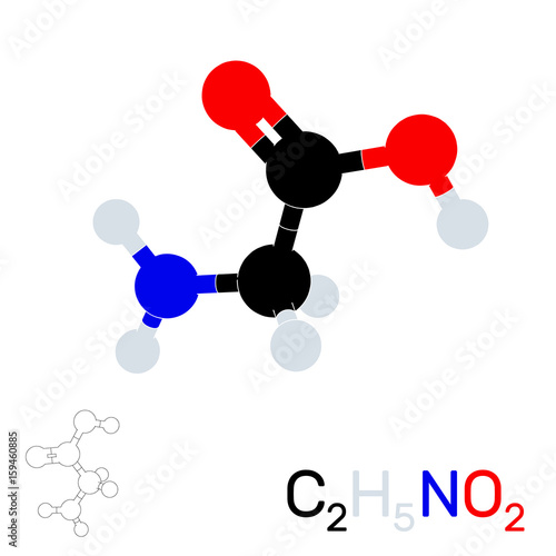 Glycine model molecule. Isolated on white background. Vector illustration.