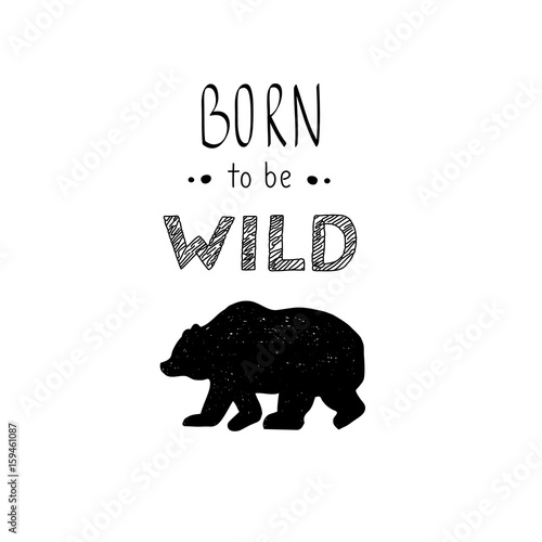 Hand drawn vector wild forest illustration