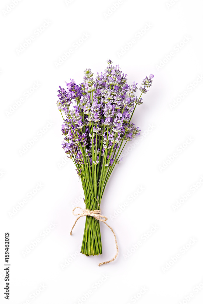 Lavender flower bouquet on a white background. Top view Lavender flower bouquet on a white background. Top view