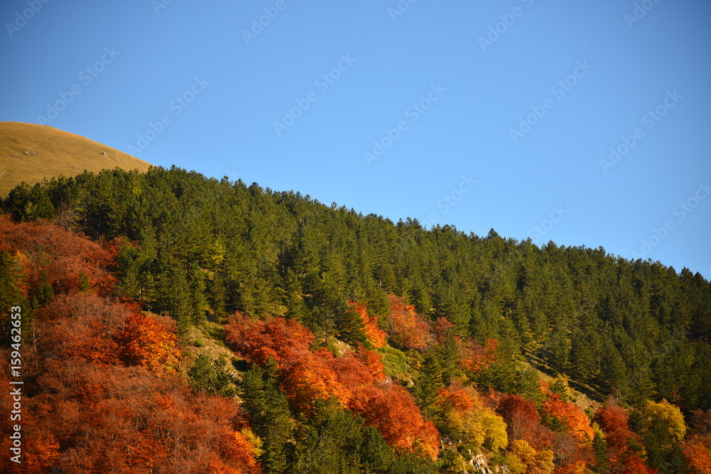Colored autumnal mountains
