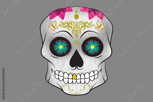 Sugar skull/Colorful sugar skull decorated with flowers and pattern