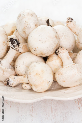 fresh mushrooms in white plate on wooden background